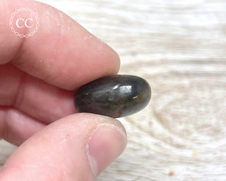 Chocolate Sapphire Polished Pebble #6