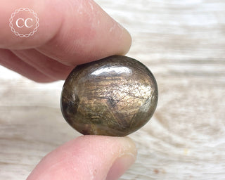 Chocolate Sapphire Polished Pebble #1