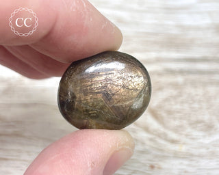 Chocolate Sapphire Polished Pebble #1