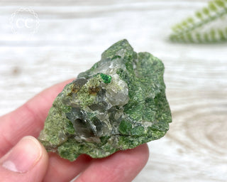 Chrome Diopside and Uvarovite Garnet Specimen #2