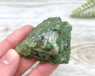 Chrome Diopside and Uvarovite Garnet Specimen #2