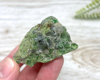 Chrome Diopside and Uvarovite Garnet Specimen #2