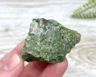 Chrome Diopside and Uvarovite Garnet Specimen #2