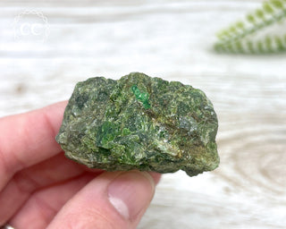 Chrome Diopside and Uvarovite Garnet Specimen #3