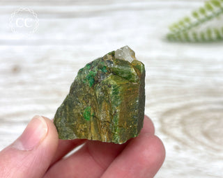 Chrome Diopside and Uvarovite Garnet Specimen #4