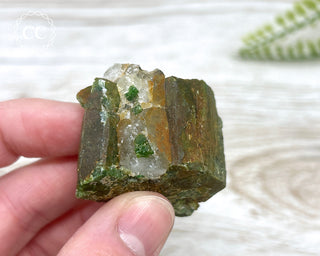 Chrome Diopside and Uvarovite Garnet Specimen #4