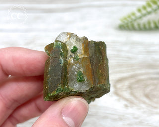 Chrome Diopside and Uvarovite Garnet Specimen #4