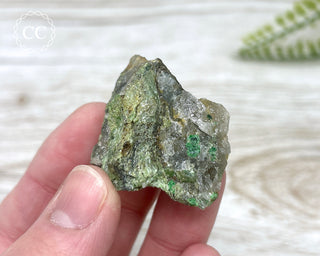 Chrome Diopside and Uvarovite Garnet Specimen #5