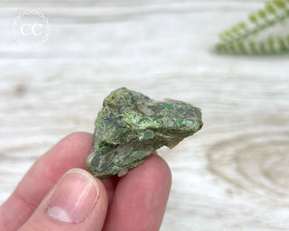 Chrome Diopside and Uvarovite Garnet Specimen #5