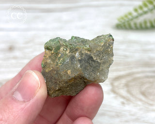 Chrome Diopside and Uvarovite Garnet Specimen #5