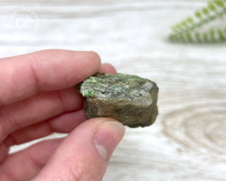 Chrome Diopside and Uvarovite Garnet Specimen #5