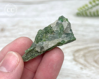 Chrome Diopside and Uvarovite Garnet Specimen #6