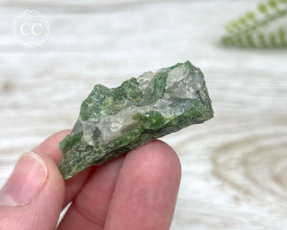 Chrome Diopside and Uvarovite Garnet Specimen #6