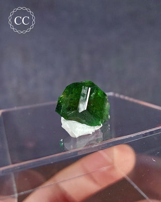 Chrome Tourmaline Specimen #10