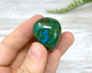 Chrysocolla Pebble #4