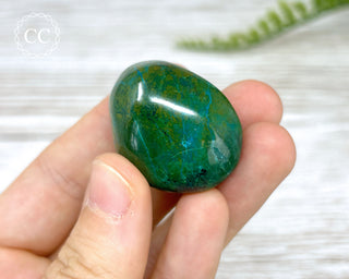 Chrysocolla Pebble #4