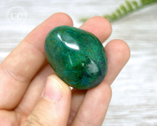 Chrysocolla Pebble #4