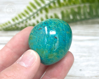 Chrysocolla Pebble #2