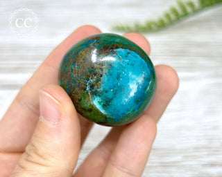 Chrysocolla Pebble #5