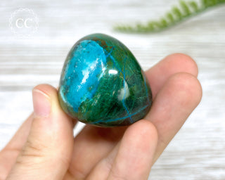 Chrysocolla Pebble #5