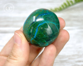 Chrysocolla Pebble #5