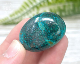 Chrysocolla Pebble #8