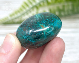 Chrysocolla Pebble #8