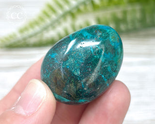 Chrysocolla Pebble #8