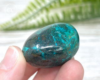 Chrysocolla Pebble #8