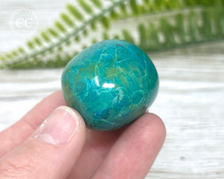 Chrysocolla Pebble #2