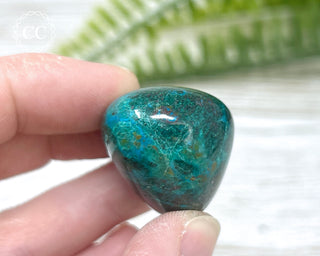 Chrysocolla Pebble #8