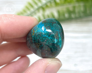 Chrysocolla Pebble #8