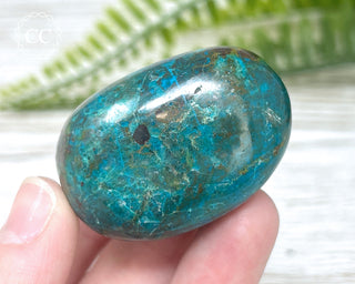 Chrysocolla Pebble #11