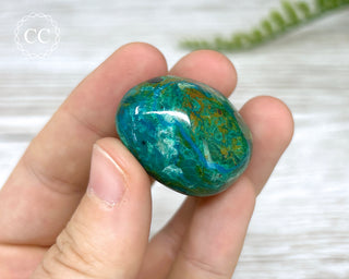 Chrysocolla Pebble #9