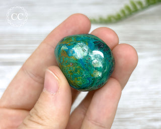 Chrysocolla Pebble #9