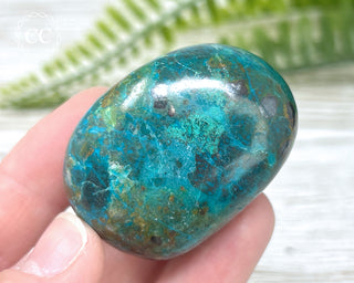 Chrysocolla Pebble #11