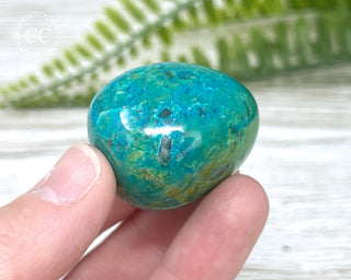 Chrysocolla Pebble #2