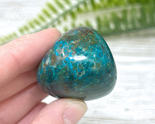 Chrysocolla Pebble #11