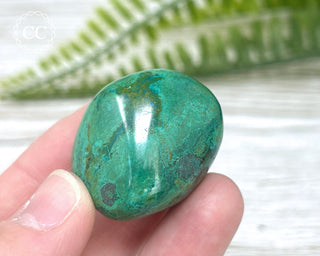 Chrysocolla Pebble #12