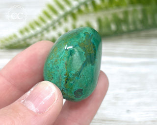 Chrysocolla Pebble #12