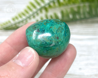 Chrysocolla Pebble #12