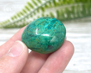 Chrysocolla Pebble #12