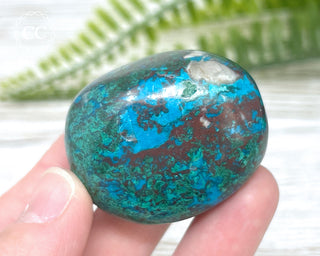 Chrysocolla Pebble #13