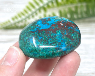 Chrysocolla Pebble #13