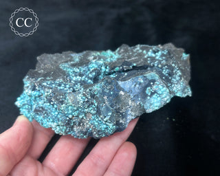 Chrysocolla -  Planet Mine #2