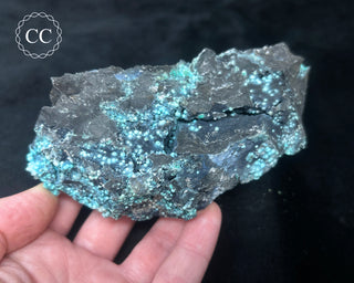 Chrysocolla -  Planet Mine #2