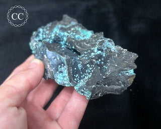 Chrysocolla -  Planet Mine #2