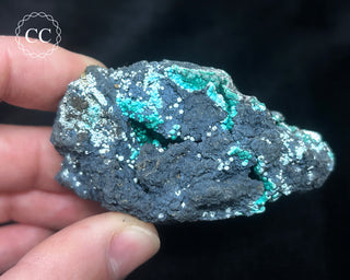 Chrysocolla -  Planet Mine #3
