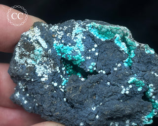 Chrysocolla -  Planet Mine #3