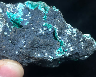 Chrysocolla -  Planet Mine #3